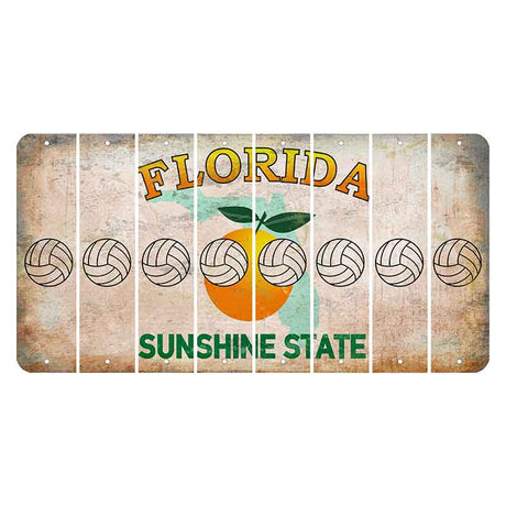 Florida Citrus Orange Cut License Plate Strips (Set of 8) Volleyball