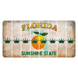 Florida Citrus Orange Cut License Plate Strips (Set of 8) Crown
