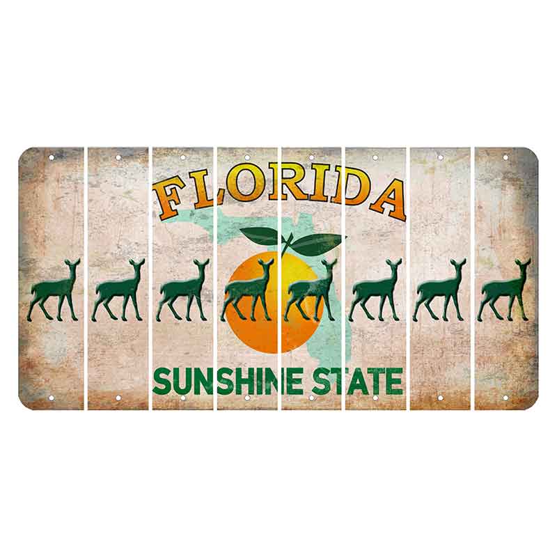 Florida Citrus Orange Cut License Plate Strips (Set of 8) Doe