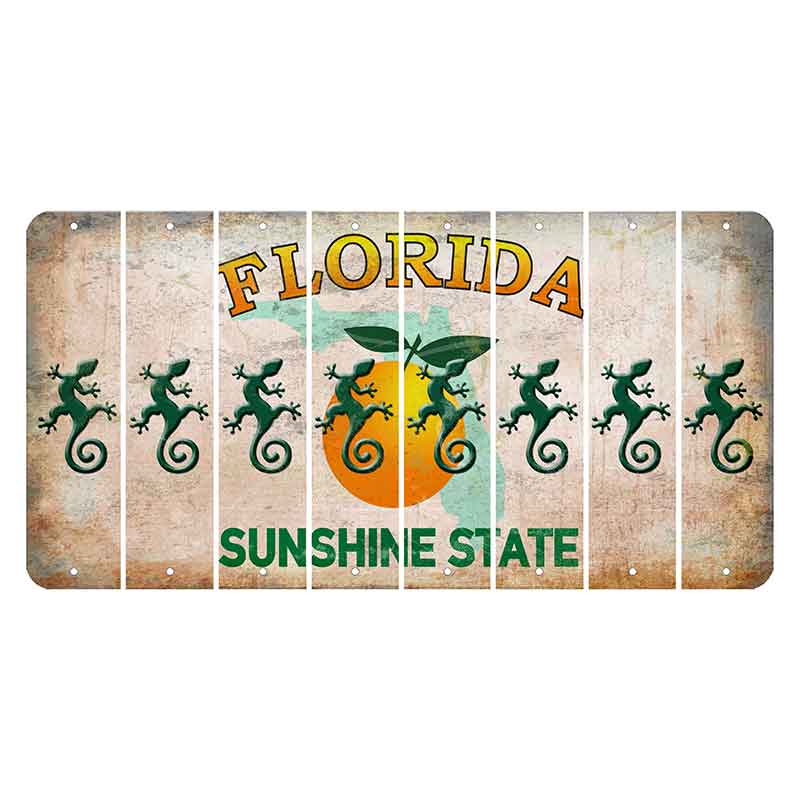Florida Citrus Orange Cut License Plate Strips (Set of 8) Gecko