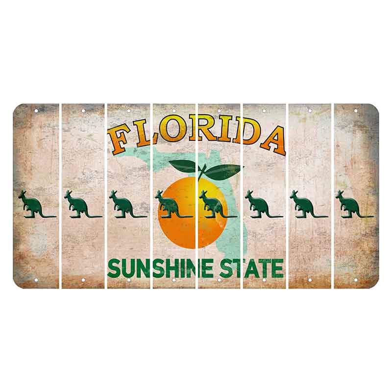 Florida Citrus Orange Cut License Plate Strips (Set of 8) Kangaroo