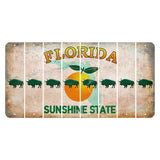 Florida Citrus Orange Cut License Plate Strips (Set of 8) Buffalo