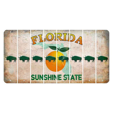 Florida Citrus Orange Cut License Plate Strips (Set of 8) Buffalo