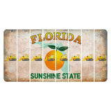 Florida Citrus Orange Cut License Plate Strips (Set of 8) Dozer
