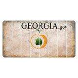 Georgia.gov Cut License Plate Strips (Set of 8) Blank