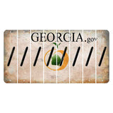 Georgia.gov Cut License Plate Strips (Set of 8) Forward Slash
