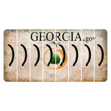 Georgia.gov Cut License Plate Strips (Set of 8) Parenthesis - Right
