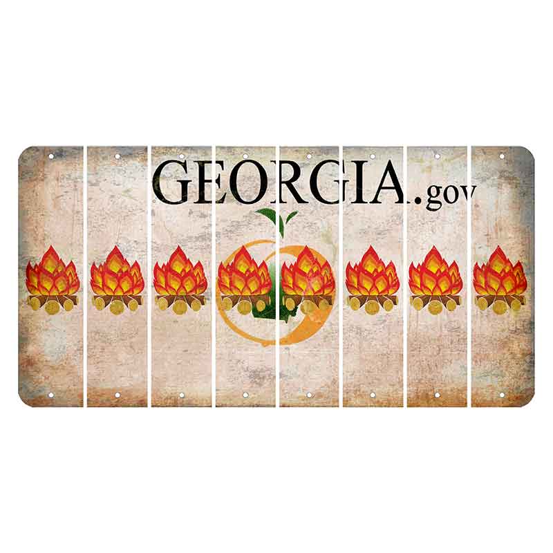 Georgia.gov Cut License Plate Strips (Set of 8) Campfire