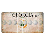 Georgia.gov Cut License Plate Strips (Set of 8) Golfball