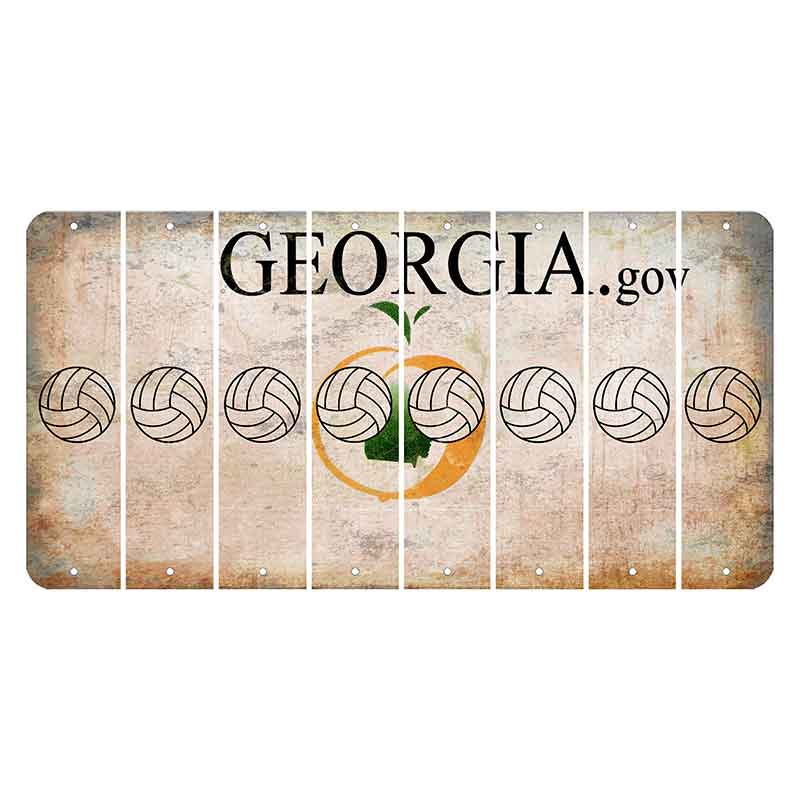 Georgia.gov Cut License Plate Strips (Set of 8) Volleyball
