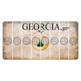 Georgia.gov Cut License Plate Strips (Set of 8) Volleyball
