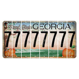 Georgia Peach State Cut License Plate Strips (Set of 8) 7