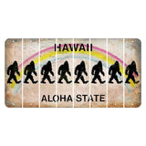 Hawaii Rainbow Cut License Plate Strips (Set of 8) Bigfoot