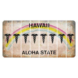 Hawaii Rainbow Cut License Plate Strips (Set of 8) Caduceus