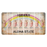Hawaii Rainbow Cut License Plate Strips (Set of 8) Milkshake