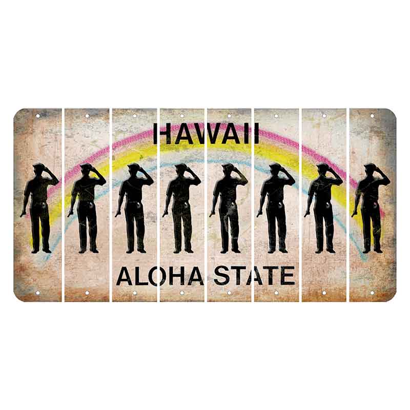 Hawaii Rainbow Cut License Plate Strips (Set of 8) Police Badge