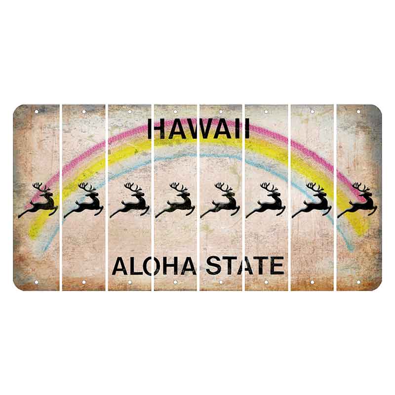 Hawaii Rainbow Cut License Plate Strips (Set of 8) Soccerball