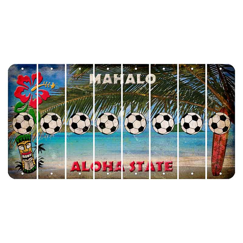 Hawaii Beach Scene Cut License Plate Strips (Set of 8) Soccerball