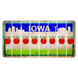 Iowa Grass Field Cut License Plate Strips (Set of 8) Teacher Apple
