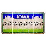 Iowa Grass Field Cut License Plate Strips (Set of 8) Soccerball