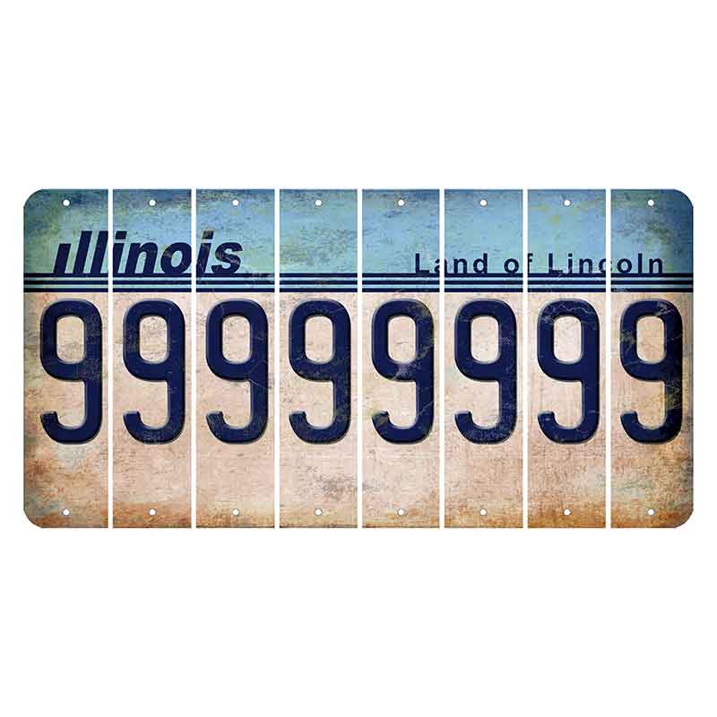 Illinois Light Blue Cut License Plate Strips (Set of 8) 9