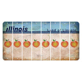 Illinois Light Blue Cut License Plate Strips (Set of 8) Peach