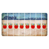 Illinois Light Blue Cut License Plate Strips (Set of 8) Teacher Apple