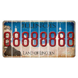 Illinois Skyline Cut License Plate Strips (Set of 8) 8