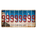Illinois Skyline Cut License Plate Strips (Set of 8) 9