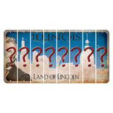 Illinois Skyline Cut License Plate Strips (Set of 8) Question Mark