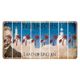 Illinois Skyline Cut License Plate Strips (Set of 8) Palm Trees