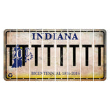 Indiana Bicentennial Cut License Plate Strips (Set of 8) T