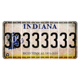 Indiana Bicentennial Cut License Plate Strips (Set of 8) 3