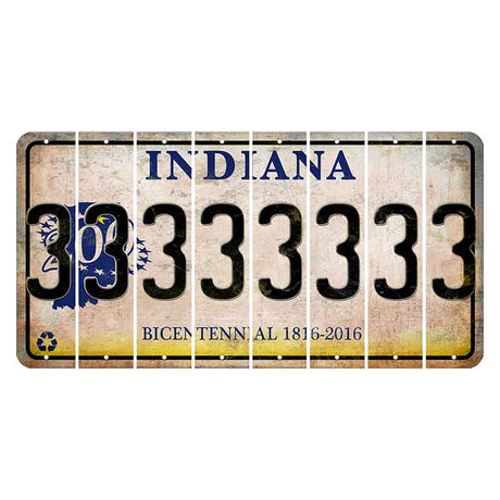 Indiana Bicentennial Cut License Plate Strips (Set of 8) 3