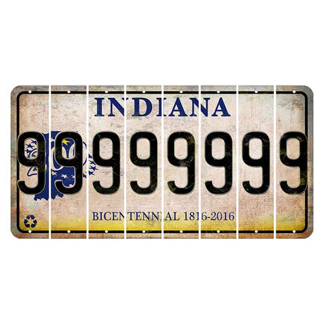 Indiana Bicentennial Cut License Plate Strips (Set of 8) 9