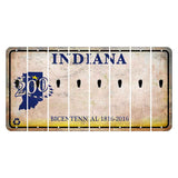 Indiana Bicentennial Cut License Plate Strips (Set of 8) Apostrophe