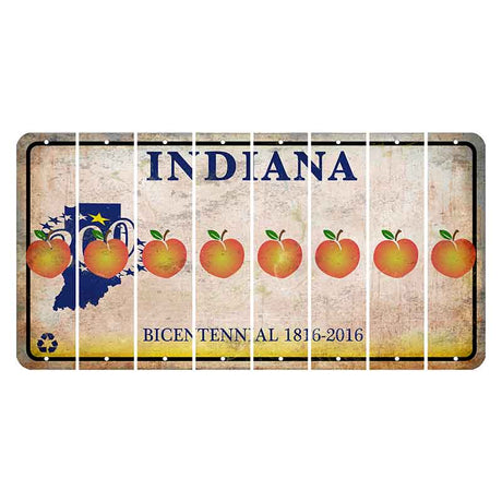 Indiana Bicentennial Cut License Plate Strips (Set of 8) Peach