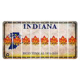Indiana Bicentennial Cut License Plate Strips (Set of 8) Campfire