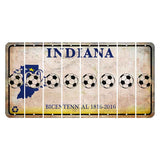 Indiana Bicentennial Cut License Plate Strips (Set of 8) Soccerball