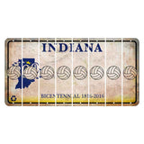 Indiana Bicentennial Cut License Plate Strips (Set of 8) Volleyball