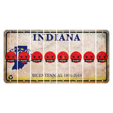 Indiana Bicentennial Cut License Plate Strips (Set of 8) Emoji - Pissed