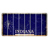 Indiana Blue Cut License Plate Strips (Set of 8) Blank