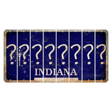 Indiana Blue Cut License Plate Strips (Set of 8) Question Mark