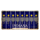 Indiana Blue Cut License Plate Strips (Set of 8) Pickleball