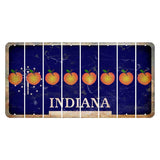 Indiana Blue Cut License Plate Strips (Set of 8) Peach
