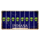 Indiana Blue Cut License Plate Strips (Set of 8) Alien