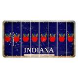 Indiana Blue Cut License Plate Strips (Set of 8) Teacher Apple