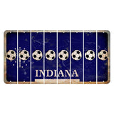 Indiana Blue Cut License Plate Strips (Set of 8) Soccerball