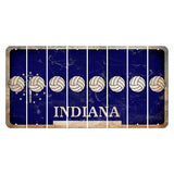 Indiana Blue Cut License Plate Strips (Set of 8) Volleyball