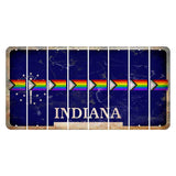 Indiana Blue Cut License Plate Strips (Set of 8) LGBTQ Flag